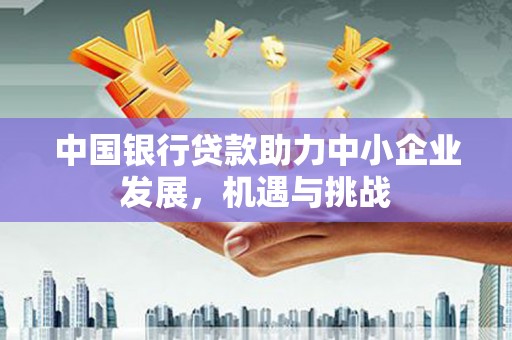斗南中国银行贷款助力中小企业发展，机遇与挑战