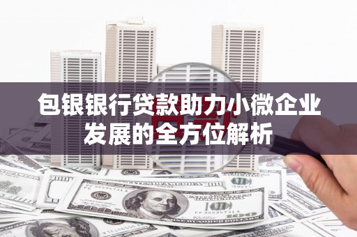 斗南包银银行贷款助力小微企业发展的全方位解析