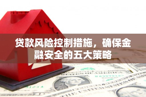 斗南贷款风险控制措施，确保金融安全的五大策略