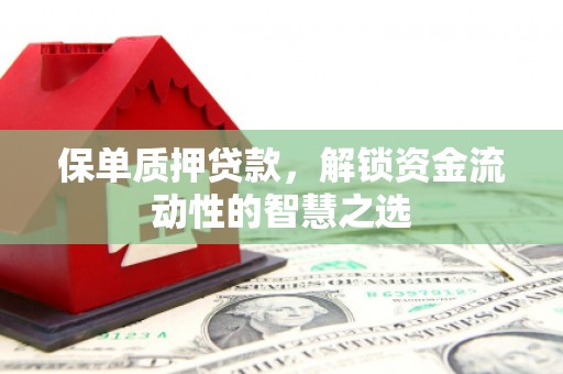 斗南保单质押贷款，解锁资金流动性的智慧之选