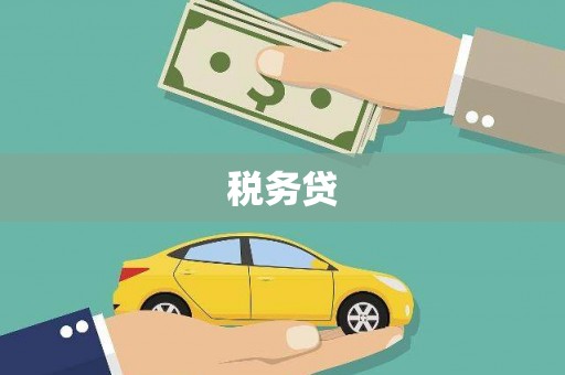 斗南税务贷