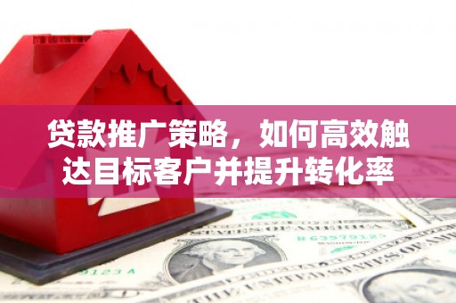 斗南贷款推广策略，如何高效触达目标客户并提升转化率