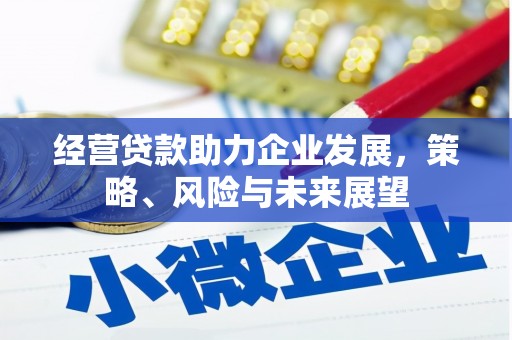 斗南经营贷款助力企业发展，策略、风险与未来展望
