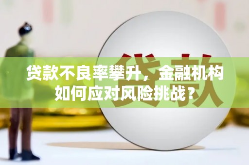 斗南贷款不良率攀升，金融机构如何应对风险挑战？