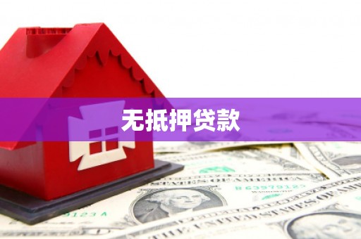 斗南无抵押贷款