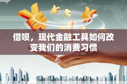 斗南借呗，现代金融工具如何改变我们的消费习惯