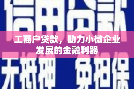 斗南工商户贷款，助力小微企业发展的金融利器