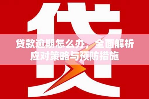 斗南贷款逾期怎么办，全面解析应对策略与预防措施