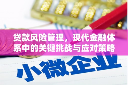 斗南贷款风险管理，现代金融体系中的关键挑战与应对策略