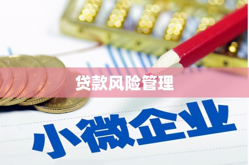 斗南贷款风险管理