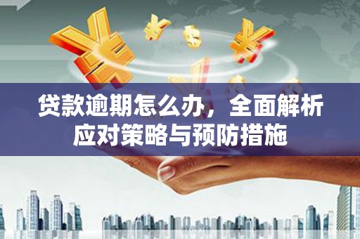 斗南贷款逾期怎么办，全面解析应对策略与预防措施