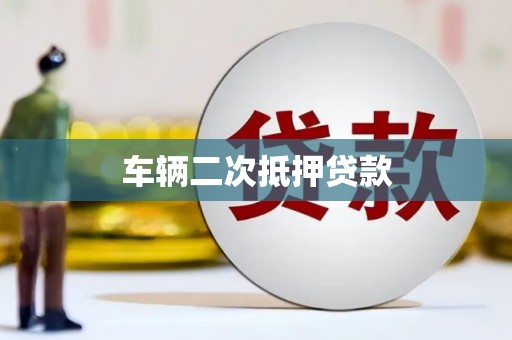 斗南车辆二次抵押贷款