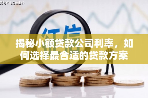 斗南揭秘小额贷款公司利率，如何选择最合适的贷款方案