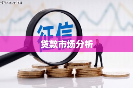 斗南贷款市场分析