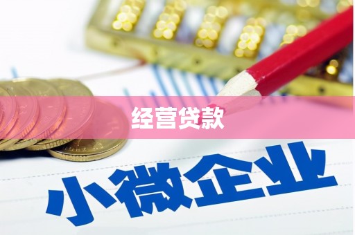 斗南经营贷款