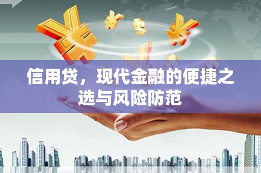 斗南信用贷，现代金融的便捷之选与风险防范