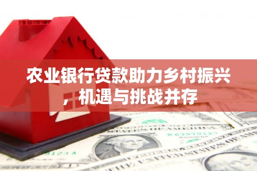 斗南农业银行贷款助力乡村振兴，机遇与挑战并存