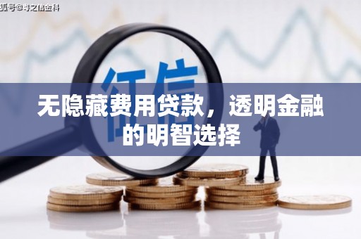 斗南无隐藏费用贷款，透明金融的明智选择