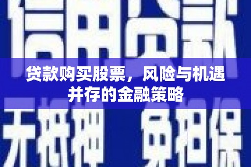 斗南贷款购买股票，风险与机遇并存的金融策略