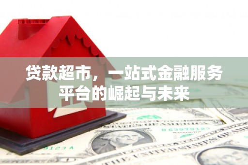 斗南贷款超市，一站式金融服务平台的崛起与未来