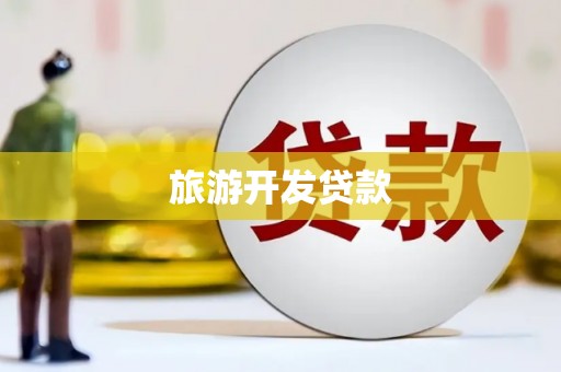 斗南旅游开发贷款