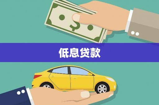 斗南低息贷款