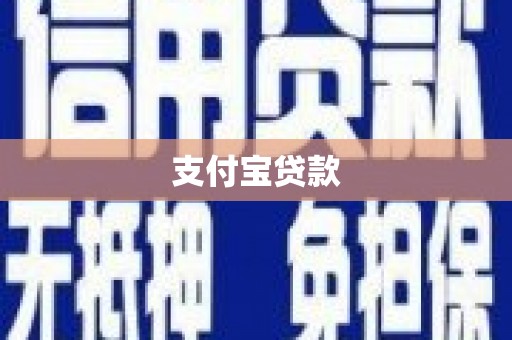 斗南支付宝贷款