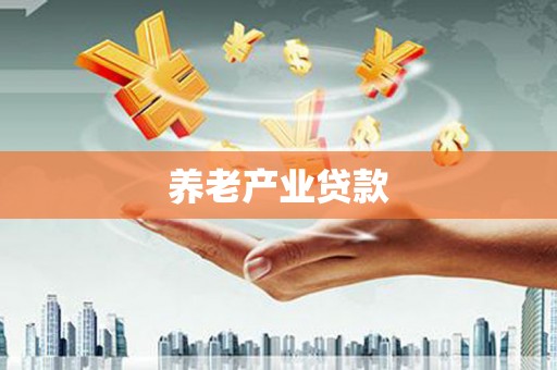斗南养老产业贷款