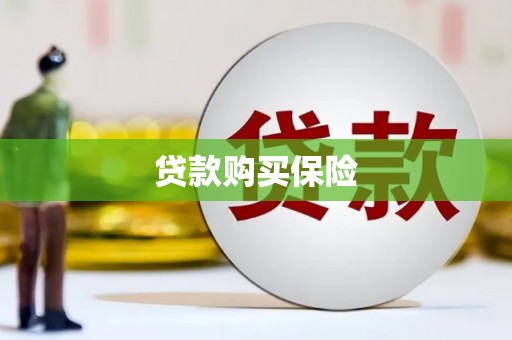 斗南贷款购买保险