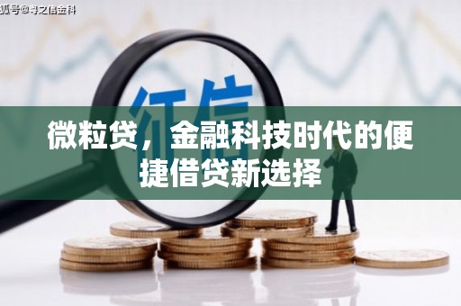 斗南微粒贷，金融科技时代的便捷借贷新选择