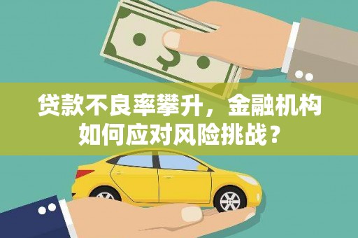 斗南贷款不良率攀升，金融机构如何应对风险挑战？