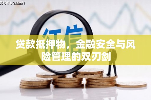 斗南贷款抵押物，金融安全与风险管理的双刃剑