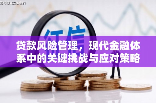 斗南贷款风险管理，现代金融体系中的关键挑战与应对策略