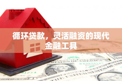 斗南循环贷款，灵活融资的现代金融工具