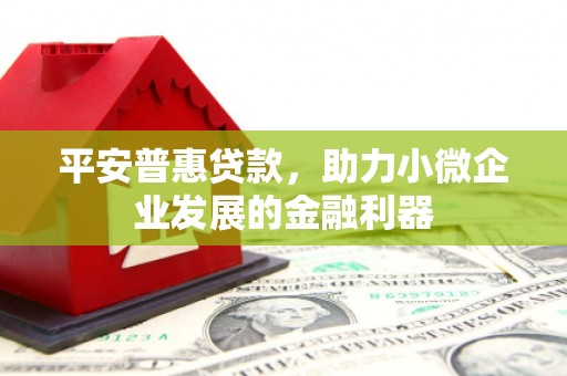 斗南平安普惠贷款，助力小微企业发展的金融利器
