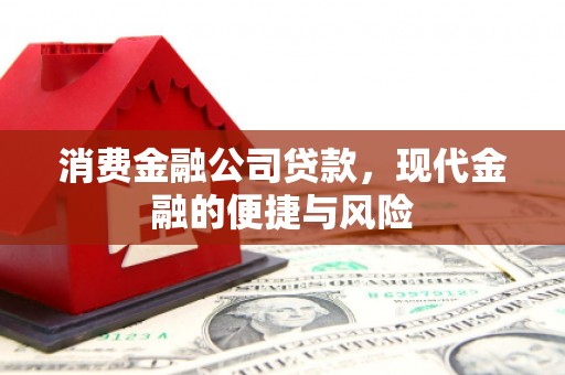 斗南消费金融公司贷款，现代金融的便捷与风险