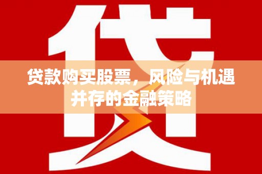 斗南贷款购买股票，风险与机遇并存的金融策略