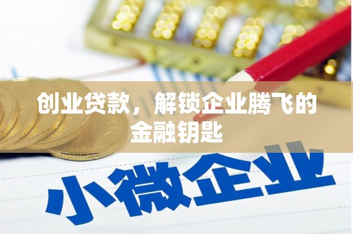 斗南创业贷款，解锁企业腾飞的金融钥匙