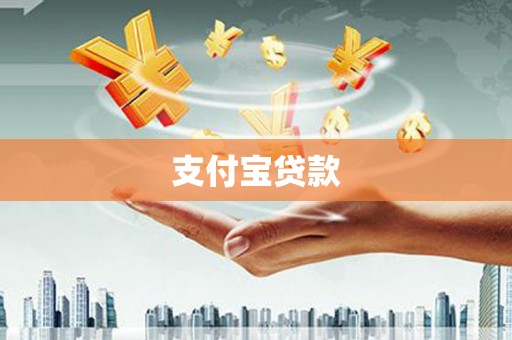 斗南支付宝贷款