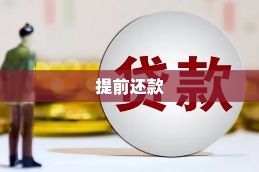 斗南提前还款