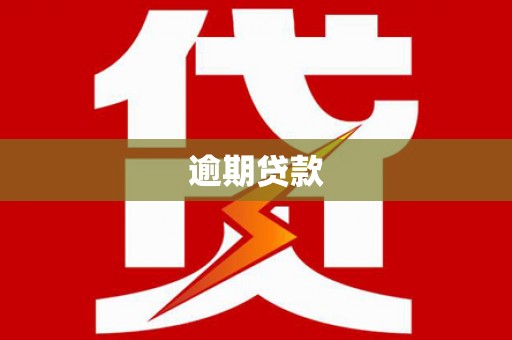 斗南逾期贷款