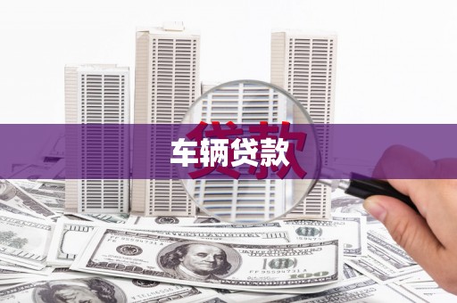 斗南车辆贷款