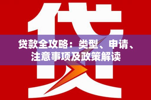 斗南贷款全攻略：类型、申请、注意事项及政策解读
