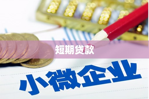 斗南短期贷款
